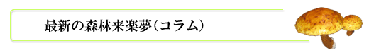 森林来楽夢(コラム)の最新記事