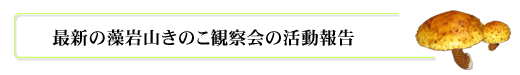 藻岩山きのこ観察会の活動報告